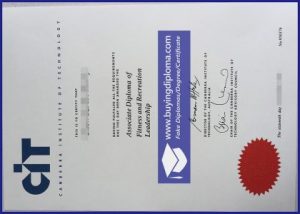Time to Buy A Fake Canberra Institute of Technology diploma