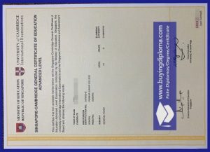 Buy A Fake Cambridge Assessment International Education certificate