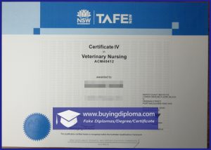 Here's How To Buy A Certificate Of TAFE Like A Professiona