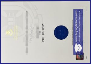 Why You Should Copy A Fake University Of Queensland Degree