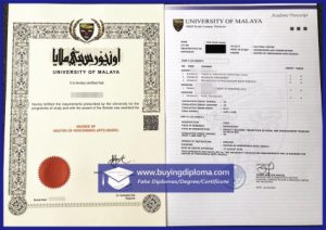 How to Buy a Fake University Malaya Transcript certificate