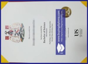 The Process Of Buy A Fake University of Sussex certificate