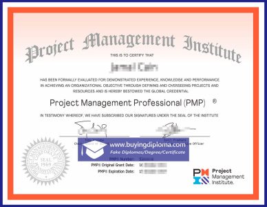 Get A Project Management Professional certificate