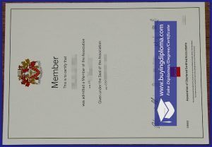 Buy ACCA certificate for get a job