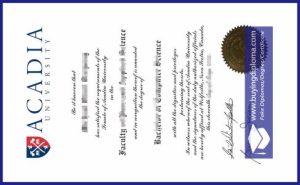 Time to Buy A Fake Acadia University certificate