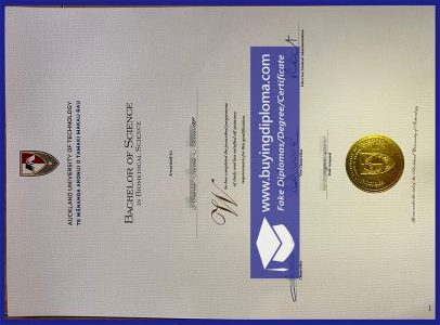 Safely to buy a Auckland University of Technology diploma