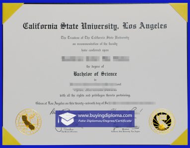 The Process Of Purchase a CSULA degree online
