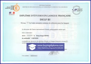Did you order a FRENCH DELF certificate online