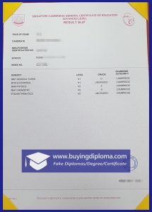 Best to order a fake GCE 'O' Level diploma