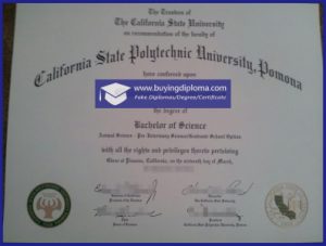 Questions about buying a fake Cal Poly Pomona diploma