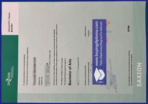 Why most Purchase a Hogeschool Saxion diploma