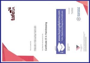 Why most buy fake a TAFE SA certificate online