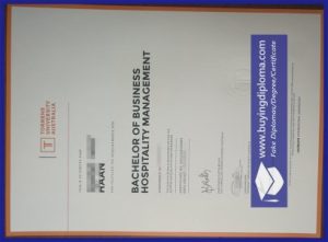 Apply fake Torrens University Australia diploma