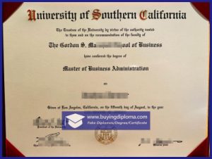 Did you order a USC MBA degree online
