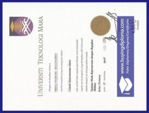 Buy a real fake Universiti Teknologi MARA diploma