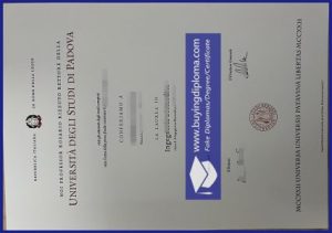 Apply for Università degli Studi di Padova diploma