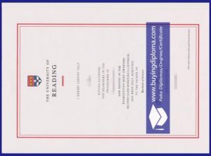 Process for choosing a University of Reading diploma