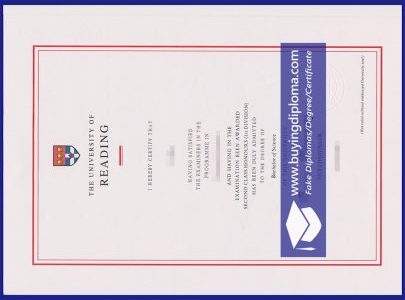 Process for choosing a University of Reading diploma