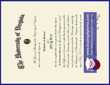 Bachelor's degree, Purchase a University of Virginia degree