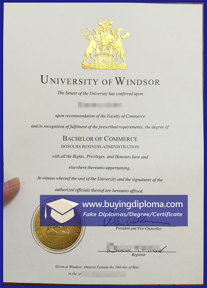 Why not buy a University of Windsor diploma