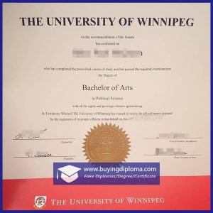 Why most buy a fake University of Winnipeg diploma
