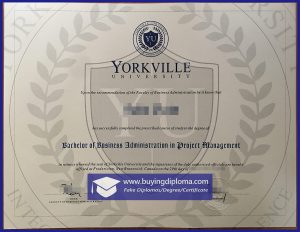 Fake Diploma Yorkville University