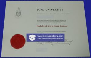 Order a york University diploma