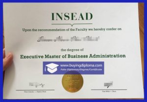 Fake INSEAD MBA degree