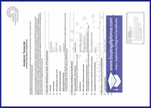 London Metropolitan University certificate picture