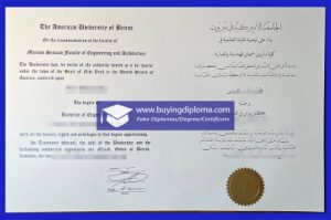 Fake American University of Beirut diploma