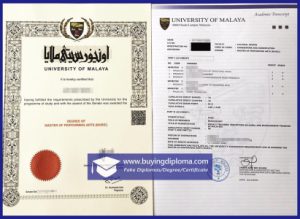 fake University of Malaya diploma picture
