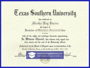 University of Southern Texas degree