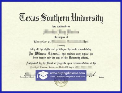 University of Southern Texas degree