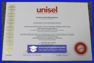 Selangor University diploma