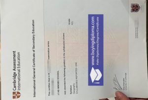 fake Cambridge (GCE) A Level certificate