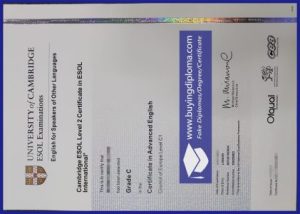 Fake C1 Advanced certificate for sale
