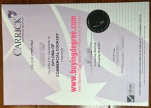 Karrick Institute of Education diploma degree