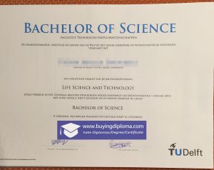 TU Delft Bachelor degree certificate