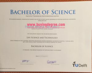 TU Delft Bachelor degree certificate
