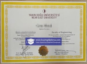 fake Near East University diploma certificate