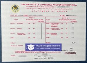 fake ICAI certificate with transcript