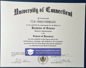 Fake University of Connecticut diploma certificate