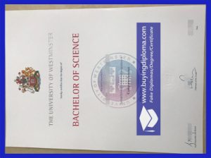 University of Westminster degree certificate
