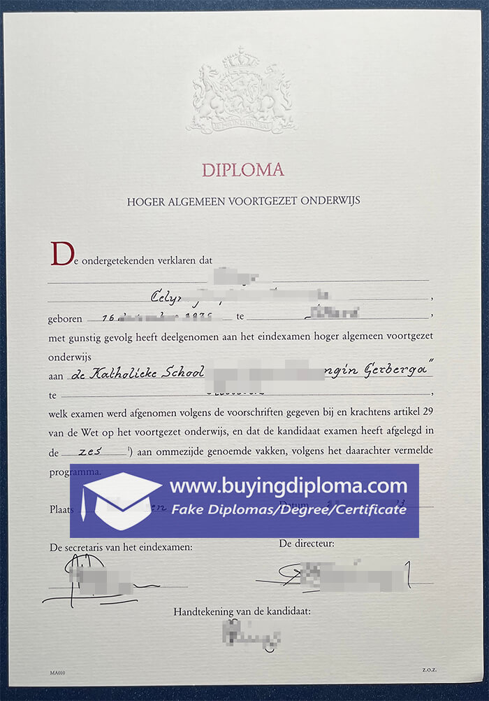 havo diploma