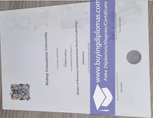 How to Get a fake Bishop Grosseteste University Degree Easily？