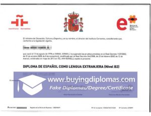 Would You Like to Order the DELE Fake Diploma?