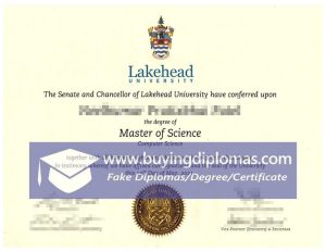 What to look out for when buying a Lakehead University fake degree?